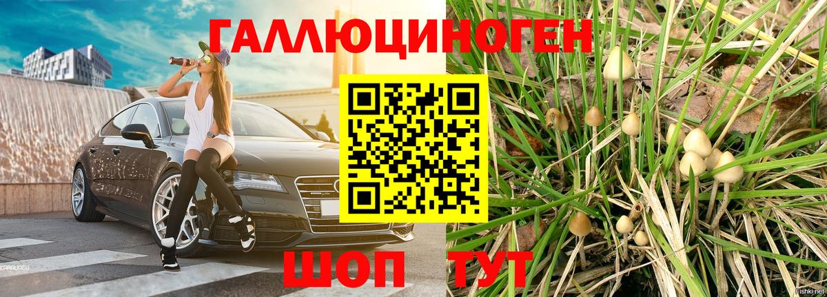 Галлюциногенные грибы MAGIC MUSHROOMS Богданович