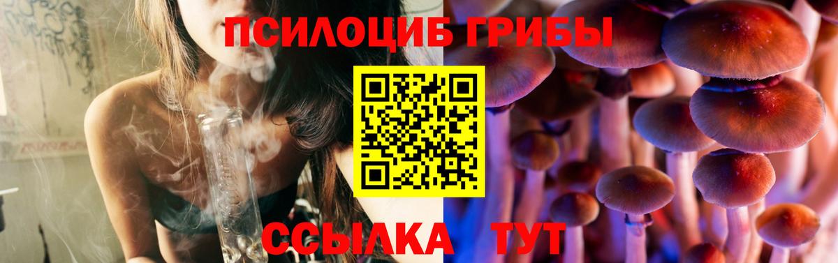 Псилоцибиновые грибы ЛСД  Галлюциногенные грибы ЛСД  Богданович  Вход с VPN 